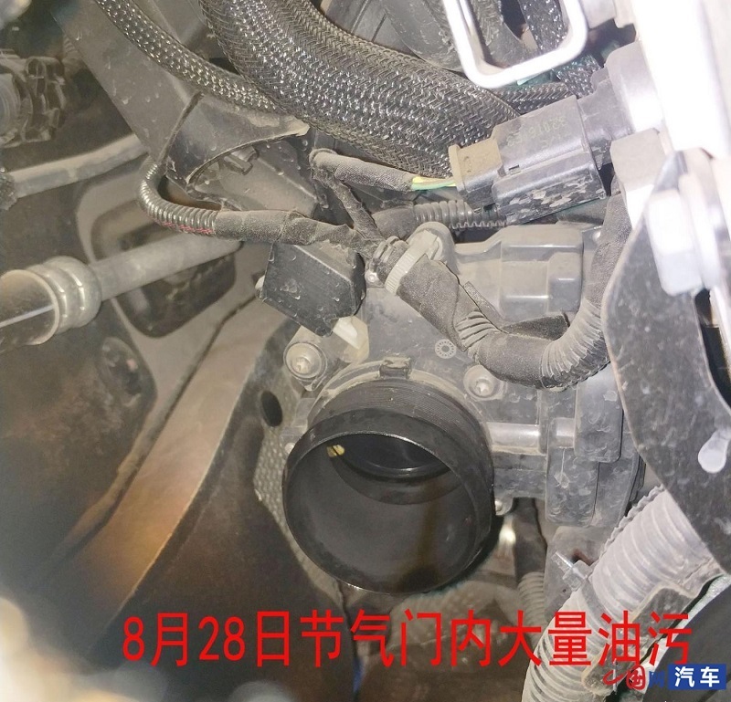DS 6车型反复漏油多次维修未治理 车主称进展厂家尽力处理惩罚处罚